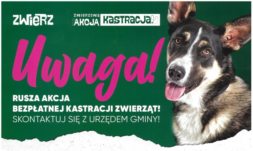 Baner reklamowy dotyczący akcji znakowania oraz kastracji psów i kotów